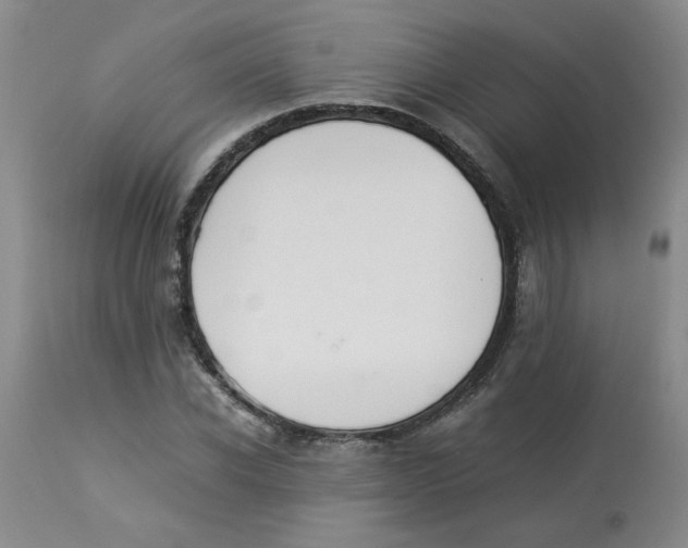 X0000112830926200909181646