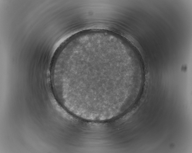 X0000112830928200909181646