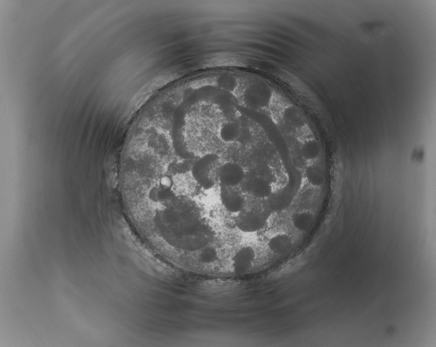 X0000112830929200909181646