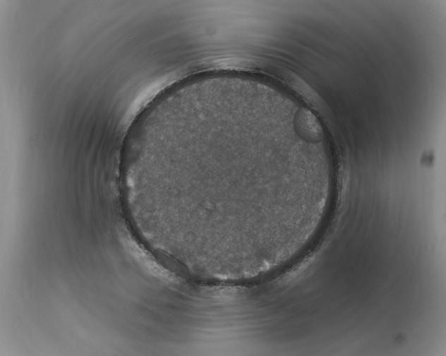 X0000112830930200909181646