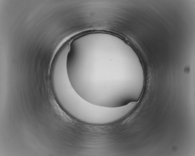 X0000112830932200909181646