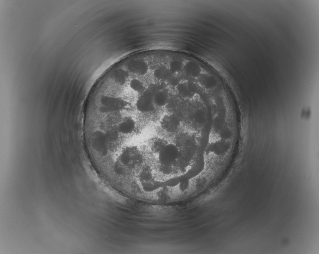 X0000112830933200909181646