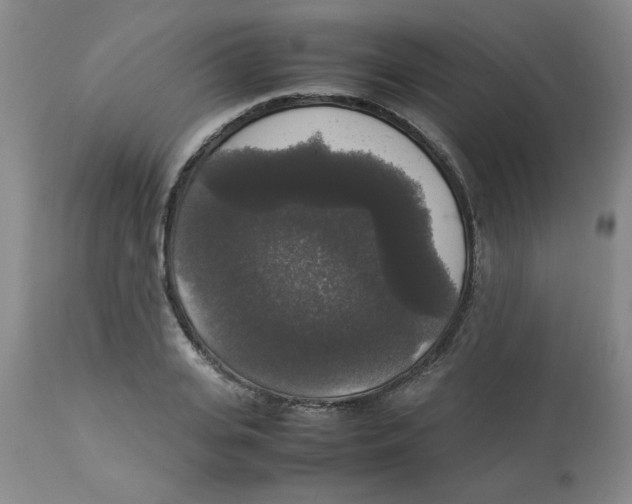 X0000112830935200909181646