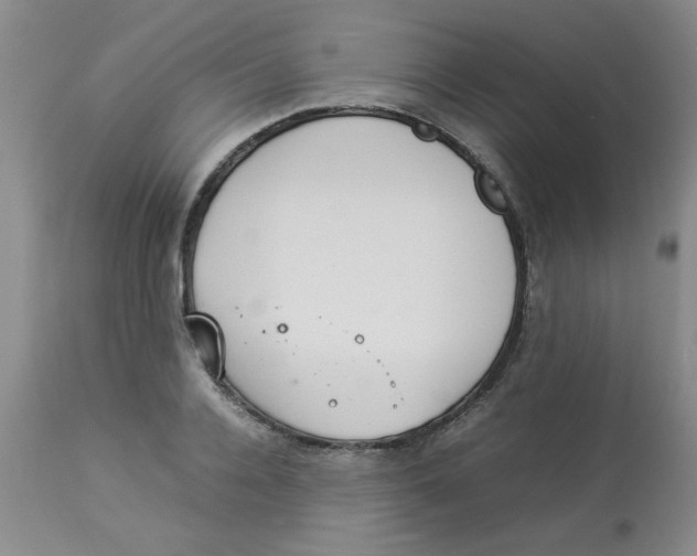 X0000112830936200909181646