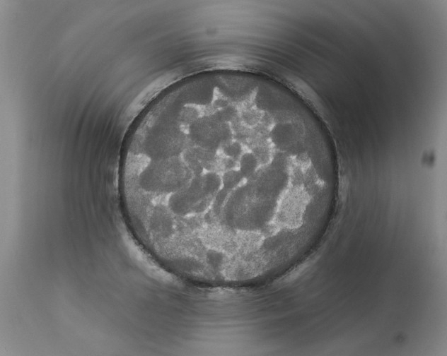 X0000112830938200909181646