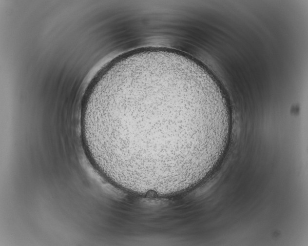 X0000112830939200909181646