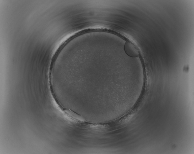 X0000112830943200909181646