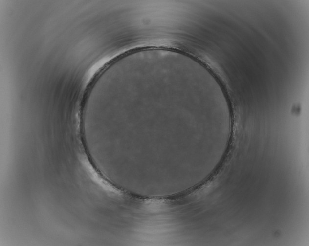 X0000112830944200909181646