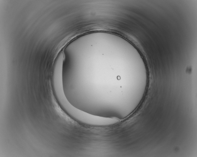 X0000112830946200909181646