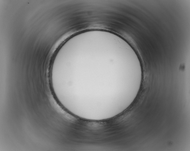 X0000112830947200909181646