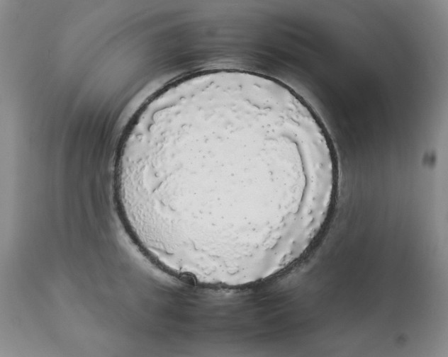 X0000112830949200909181646