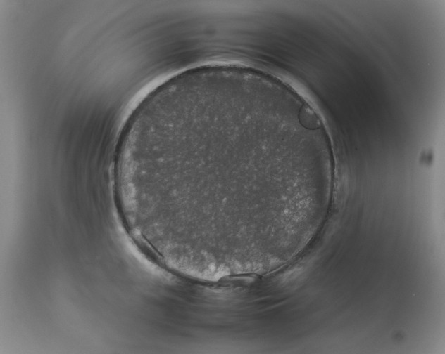 X0000112830951200909181646