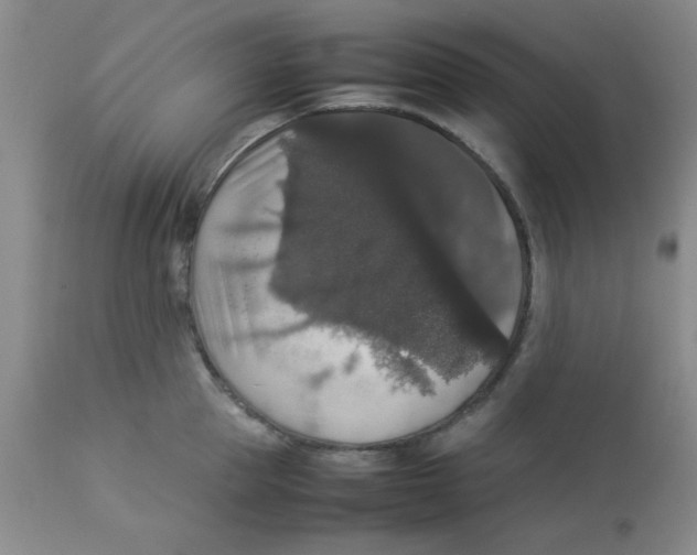 X0000112830953200909181646