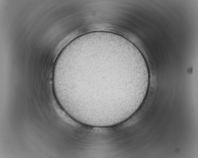 X0000112830954200909181646