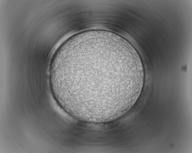 X0000112830955200909181646