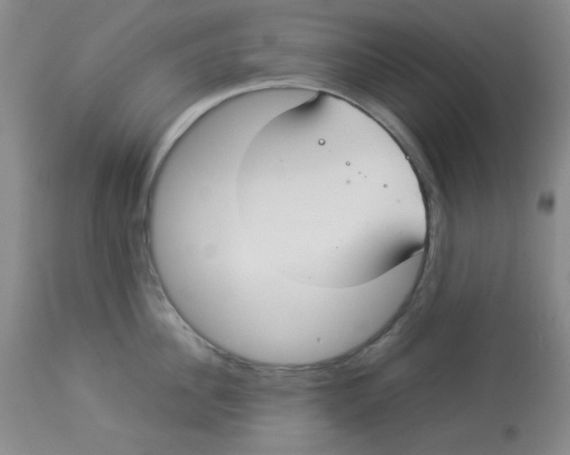 X0000112830956200909181647