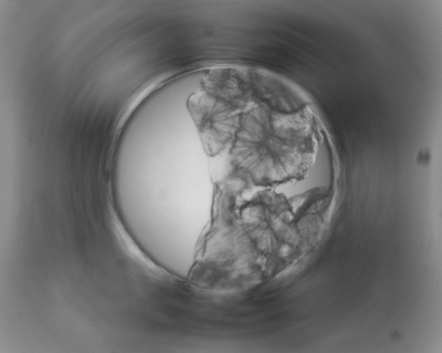 X0000112830957200909181647