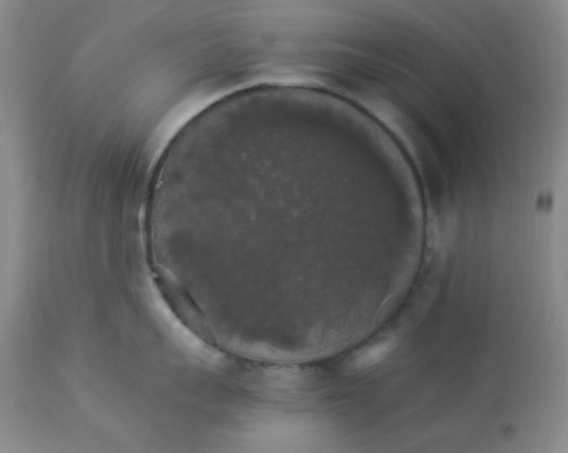 X0000112830959200909181647