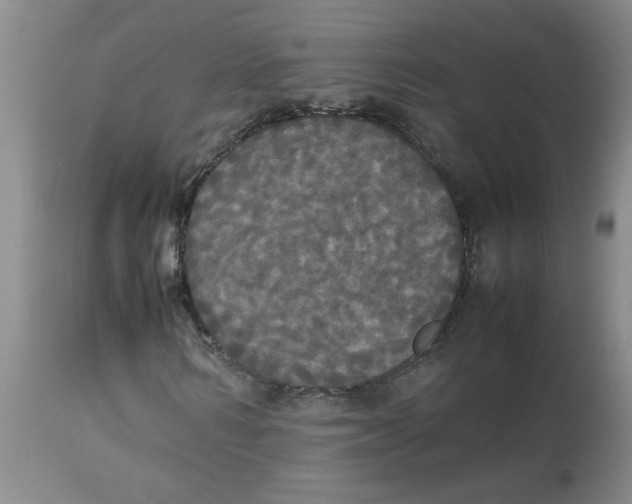 X0000112830962200909181646