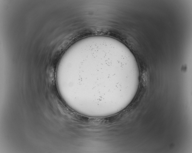 X0000112830963200909181646