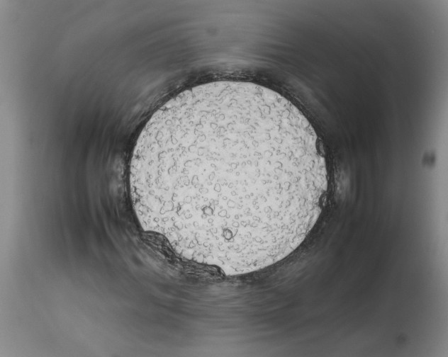 X0000112830964200909181646