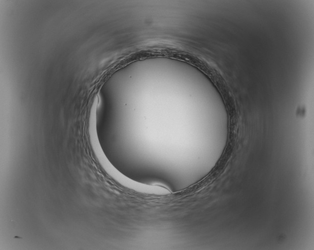 X0000112830965200909181646