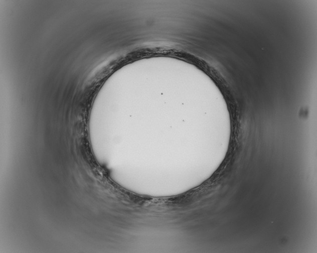 X0000112830967200909181646