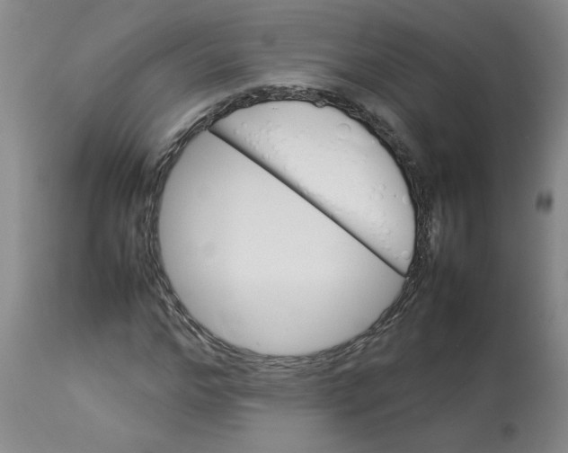 X0000112830968200909181646