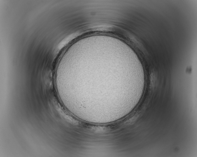 X0000112830970200909181646