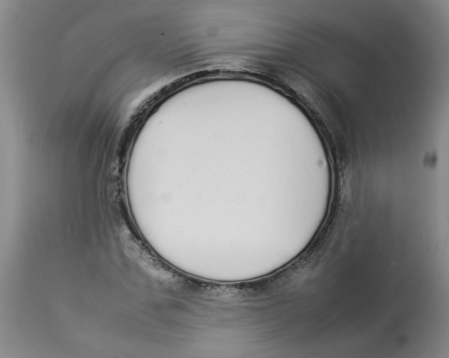 X0000112830971200909181646