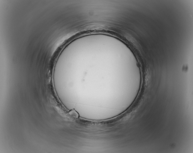 X0000112830973200909181646