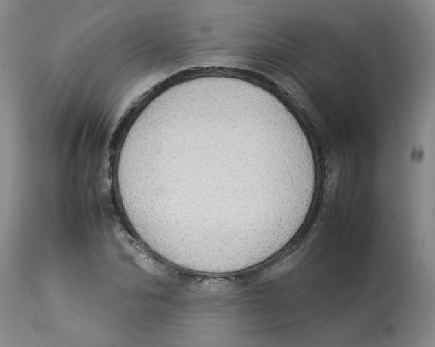 X0000112830974200909181646