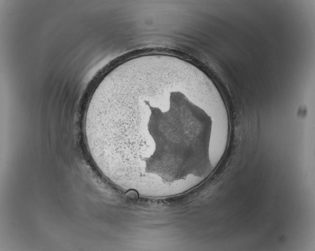 X0000112830975200909181646