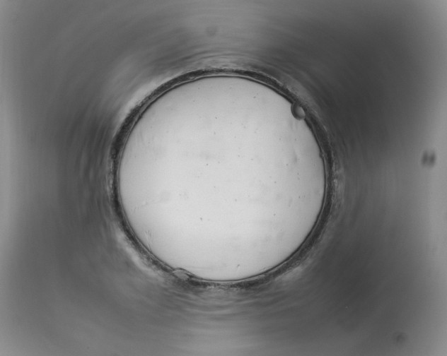 X0000112830981200909181646