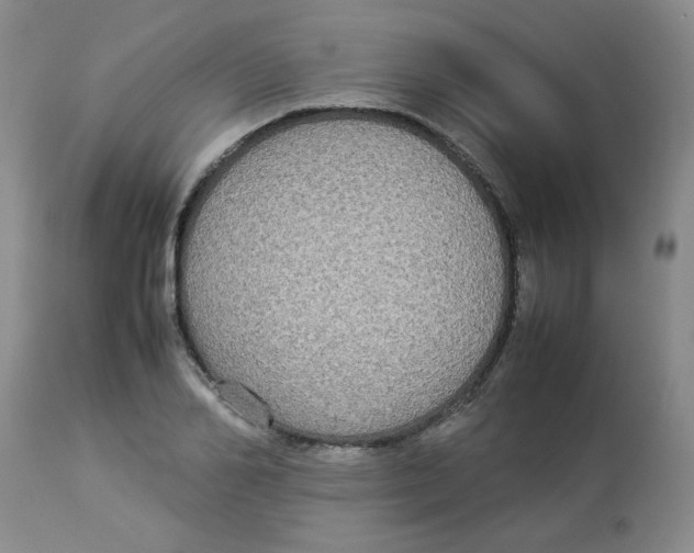 X0000112830982200909181646