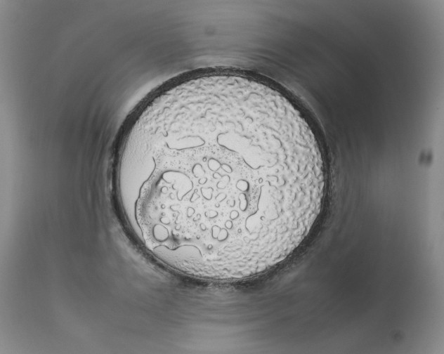 X0000112830983200909181646