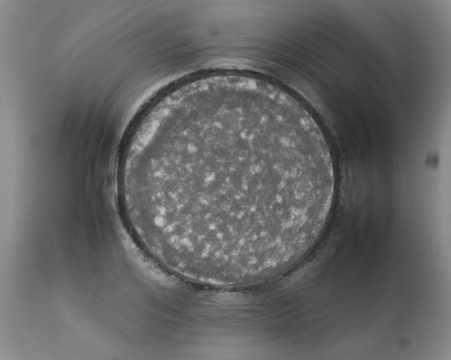 X0000112830984200909181646