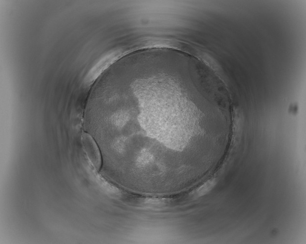 X0000112830985200909181646