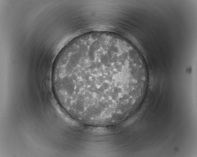 X0000112830986200909181646