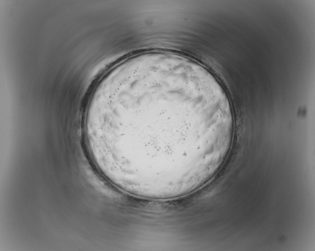 X0000112830987200909181646