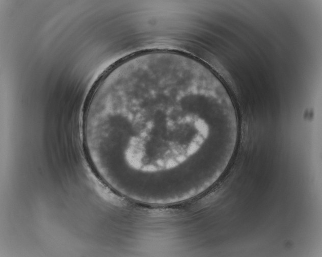 X0000112830988200909181646