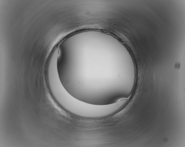 X0000112830989200909181646