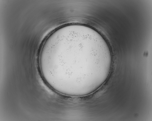 X0000112830991200909181645