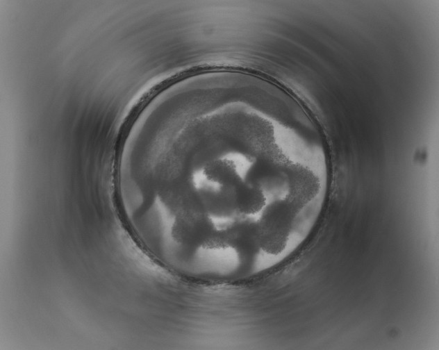 X0000112830992200909181645