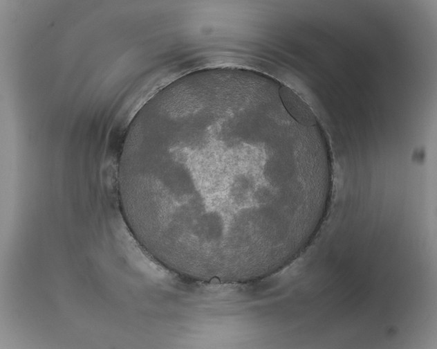 X0000112830993200909181645