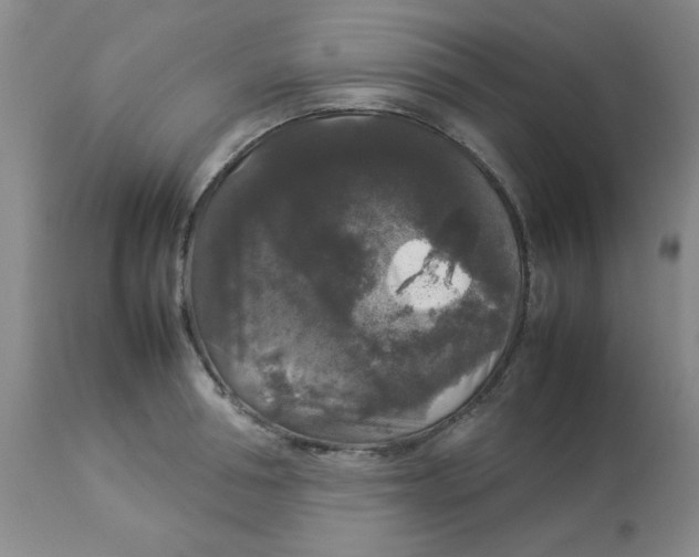 X0000112830994200909181645