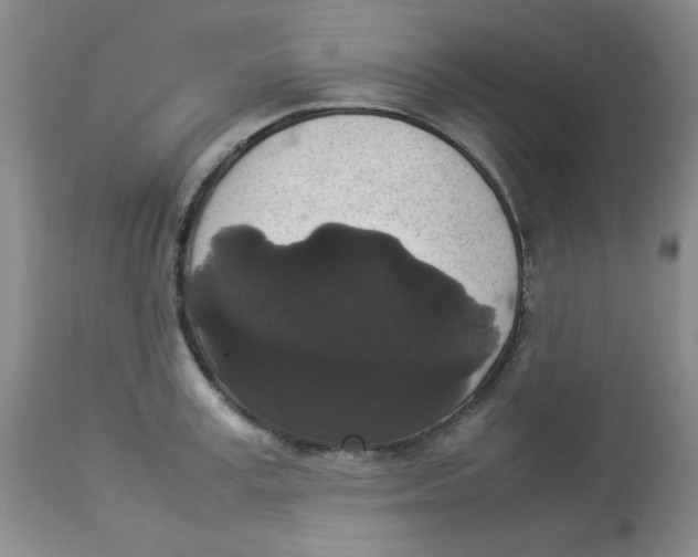 X0000112830995200909181645