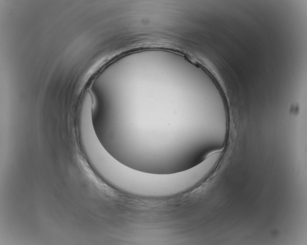 X0000112830997200909181645