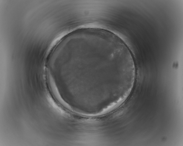 X0000112830998200909181645