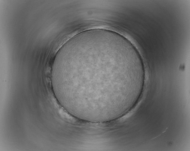 X0000112831001200909181645